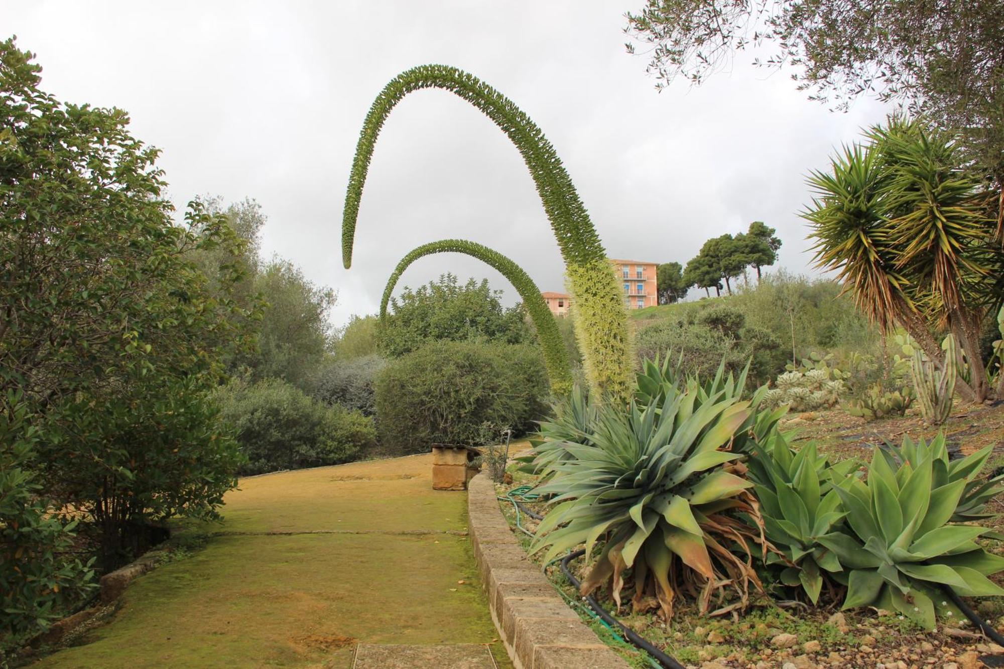 B&B Villa Adriana San Leone Luaran gambar
